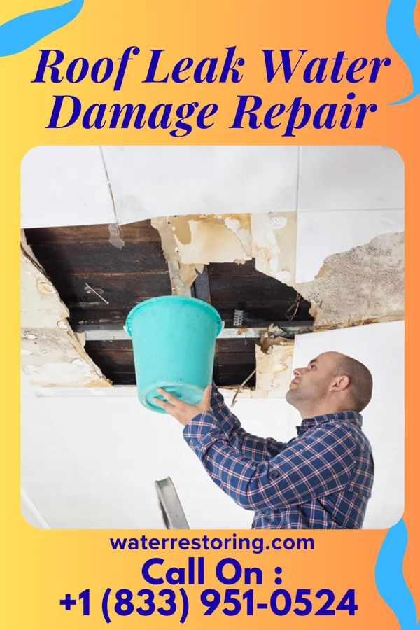 Roof Leak Water Damage Repair in Carson, ND